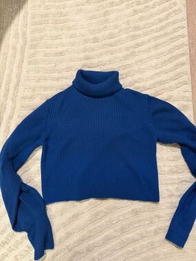 Aritzia Cropped Blue Ribbed Turtleneck Sweater - Women